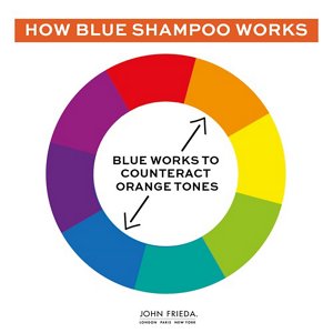 Colour wheel showing how blue shampoo neautralises brassy hair
